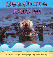 Seashore Babies
