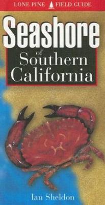 Seashore of Southern California - 