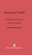 Season of Youth: The Bildungsroman from Dickens to Golding