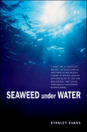 Seaweed Under Water