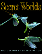 Secret Worlds