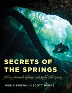 Secrets of the Springs: Warm Mineral Springs and Little Salt Spring