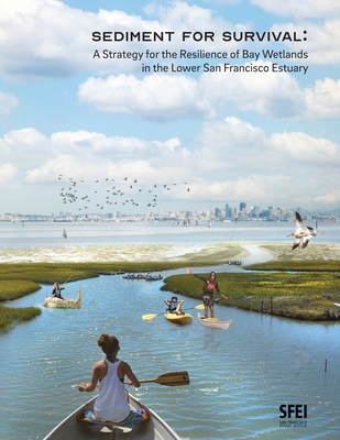 Sediment for Survival: A Strategy for the Resilience of Bay Wetlands in the Lower San Francisco Estuary - (Sfei), San Francisco Estuary Institute (Prepared for publication by), and Dusterhoff, Scott, and McKnight, Katie