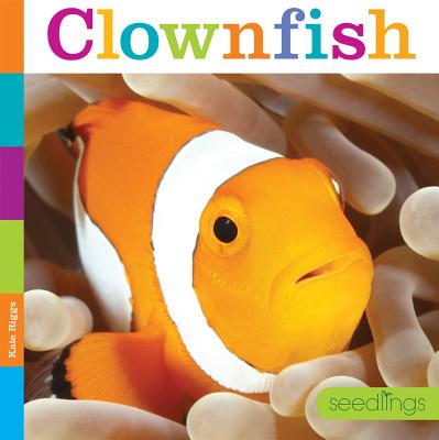 Seedlings: Clownfish - Riggs, Kate