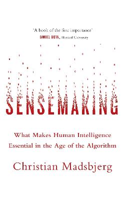 Sensemaking: What Makes Human Intelligence Essential in the Age of the Algorithm - Madsbjerg, Christian