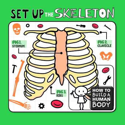Set Up the Skeleton - Holmes, Kirsty