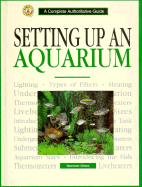 Setting Up an Aquarium