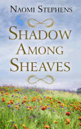 Shadow Among Sheaves