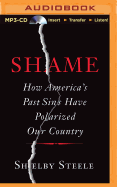 Shame: How America's Past Sins Have Polarized Our Country
