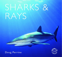 Sharks and Rays - Perrine, Doug