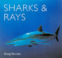 Sharks and Rays