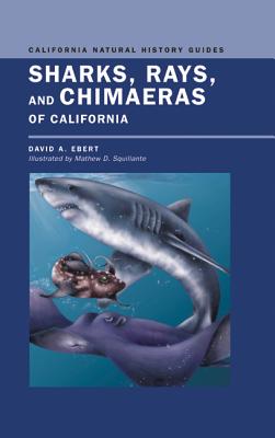 Sharks, Rays, and Chimaeras of California - Ebert, David
