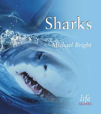 Sharks - Bright, Michael