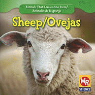 Sheep / Las Ovejas