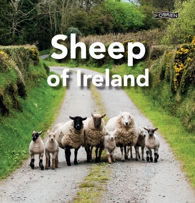 Sheep of Ireland - O'Connor, Sarah