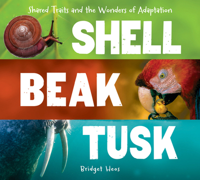 Shell, Beak, Tusk: Shared Traits and the Wonders of Adaptation - Heos, Bridget