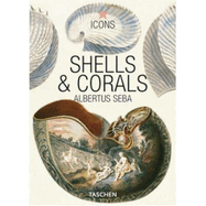 Shells & Corals