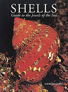 Shells: Guide to the Jewels of the Sea