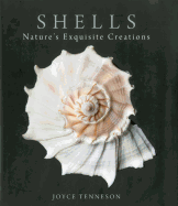 Shells: Nature's Exquisite Creations