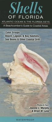 Shells of Florida Atlantic Ocean and the Florida Keys: A Beachcomber's Guide to Coastal Areas - Murhpy, Jeanne L, and Lane, Brian W