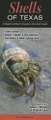 Shells of Texas: A Beachcomber's Guide - Murhpy, Jeanne L, and Lane, Brian W