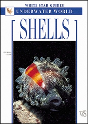 Shells - Gabbi, Giorgio