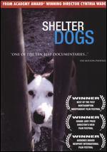 Shelter Dogs