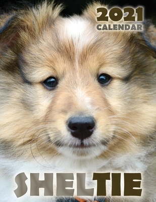 Sheltie 2021 Calendar - Over the Wall Dogs