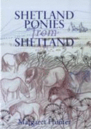Shetland ponies from Shetland