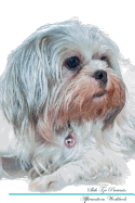 Shih Tzu Affirmations Workbook Shih Tzu Presents: Positive and Loving Affirmations Workbook. Includes: Mentoring Questions, Guidance, Supporting You.