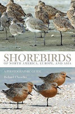 Shorebirds of North America, Europe, and Asia: A Photographic Guide - Chandler, Richard