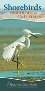 Shorebirds of the Southeast & Gulf States: Your Way to Easily Identify Shorebirds