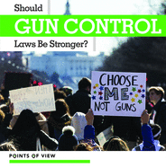 Should Gun Control Laws Be Stronger?