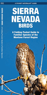 Sierra Nevada Birds: A Folding Pocket Guide to Familiar Montane Forest Species