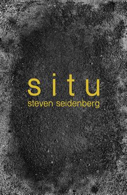 Situ - Seidenberg, Steven