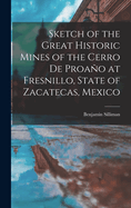 Sketch of the Great Historic Mines of the Cerro De Proao at Fresnillo, State of Zacatecas, Mexico