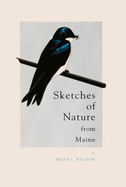 Sketches of Nature From Maine