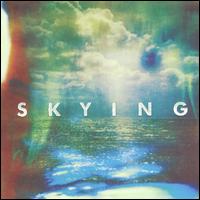 Skying - The Horrors