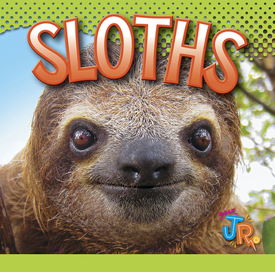 Sloths - Storm, Marysa