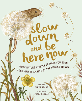 Slow Down and Be Here Now: More Nature Stories to Make You Stop, Look, and Be Amazed by the Tiniest Things - Brand, Laura