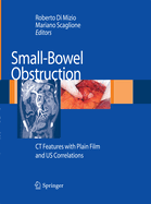 Small-Bowel Obstruction: CT Features with Plain Film and US Correlations