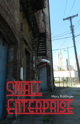 Small Enterprise - Biddinger, Mary