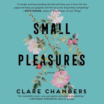 Small Pleasures Lib/E - Chambers, Clare, and Cass, Karen (Read by)