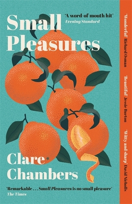 Small Pleasures: Longlisted for the Women's Prize for Fiction - Chambers, Clare