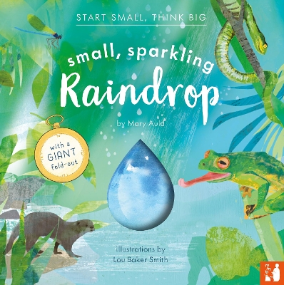 Small, Sparkling Raindrop: A fact-filled picture book about the water cycle with a large fold-out (ages 4-8) - Auld, Mary, and Souter, Nicholas, Dr. (Consultant editor)