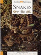 Snakes - Minns, Hilary, and Lutrario, Chris, and Wade, Barrie