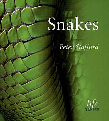 Snakes - Stafford, Peter