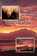 Snapshots and Visions: A View from the Now