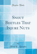 Snout Beetles That Injure Nuts (Classic Reprint)