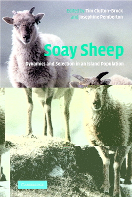 Soay Sheep: Dynamics and Selection in an Island Population - Clutton-Brock, T H (Editor), and Pemberton, J M (Editor)